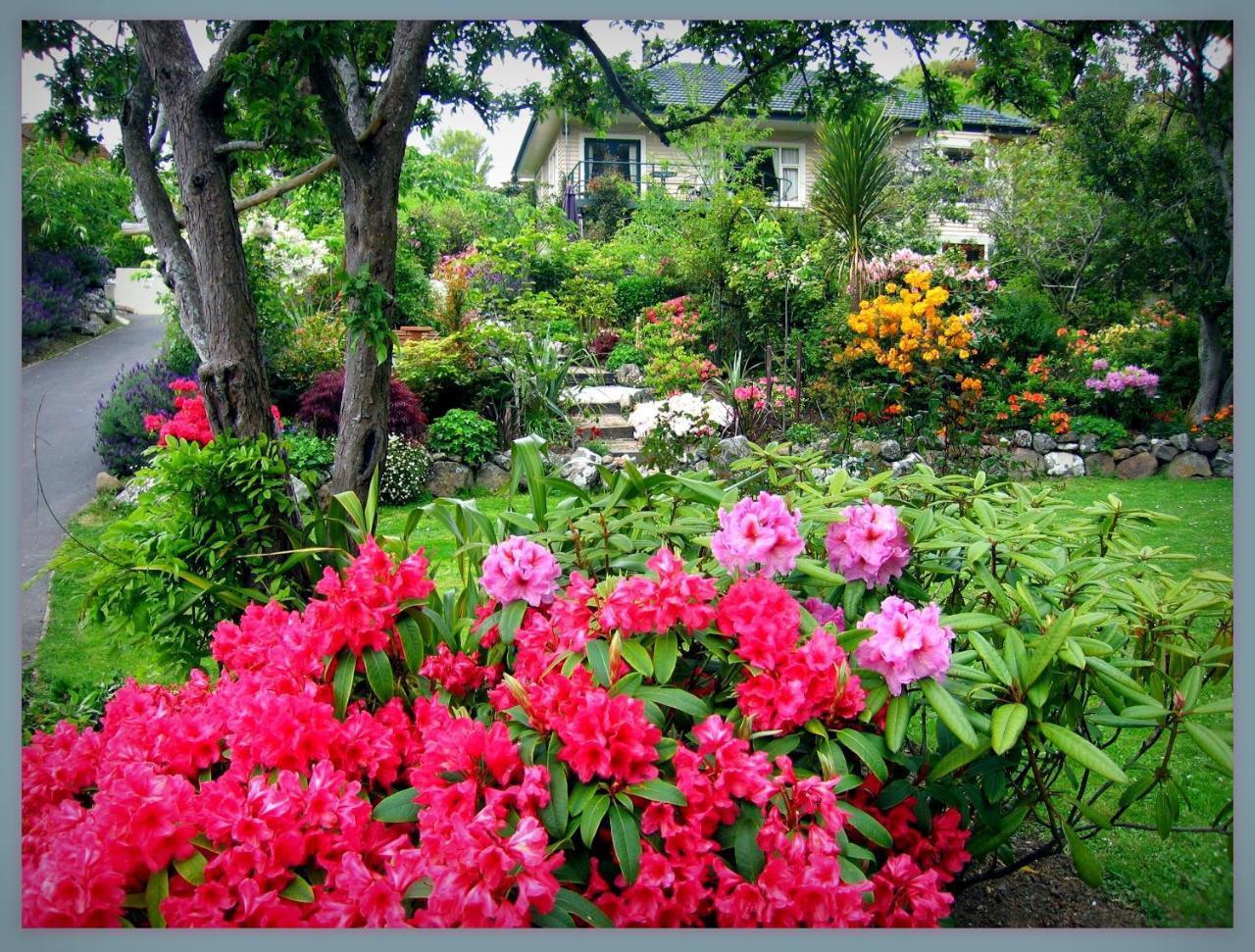 Mcauley Glen Boutique B&B Portobello Exterior foto